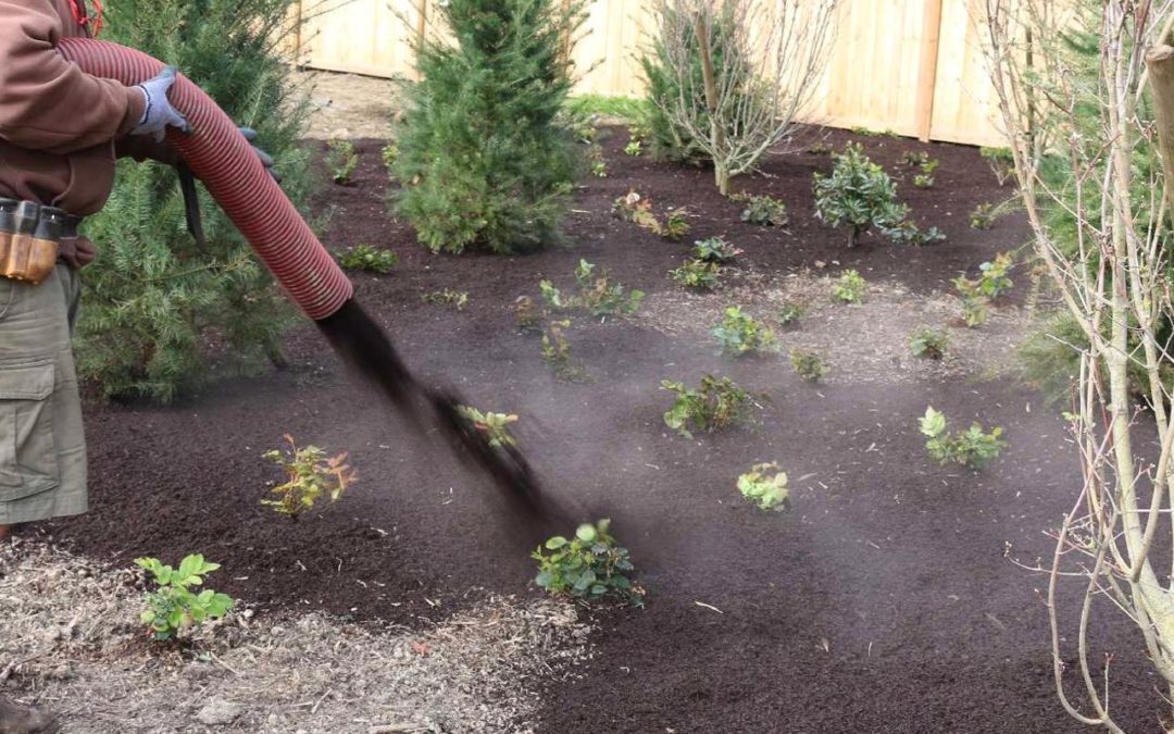 Mulch Installation Near Me - Serving greater Seattle & Eastside Landscapes