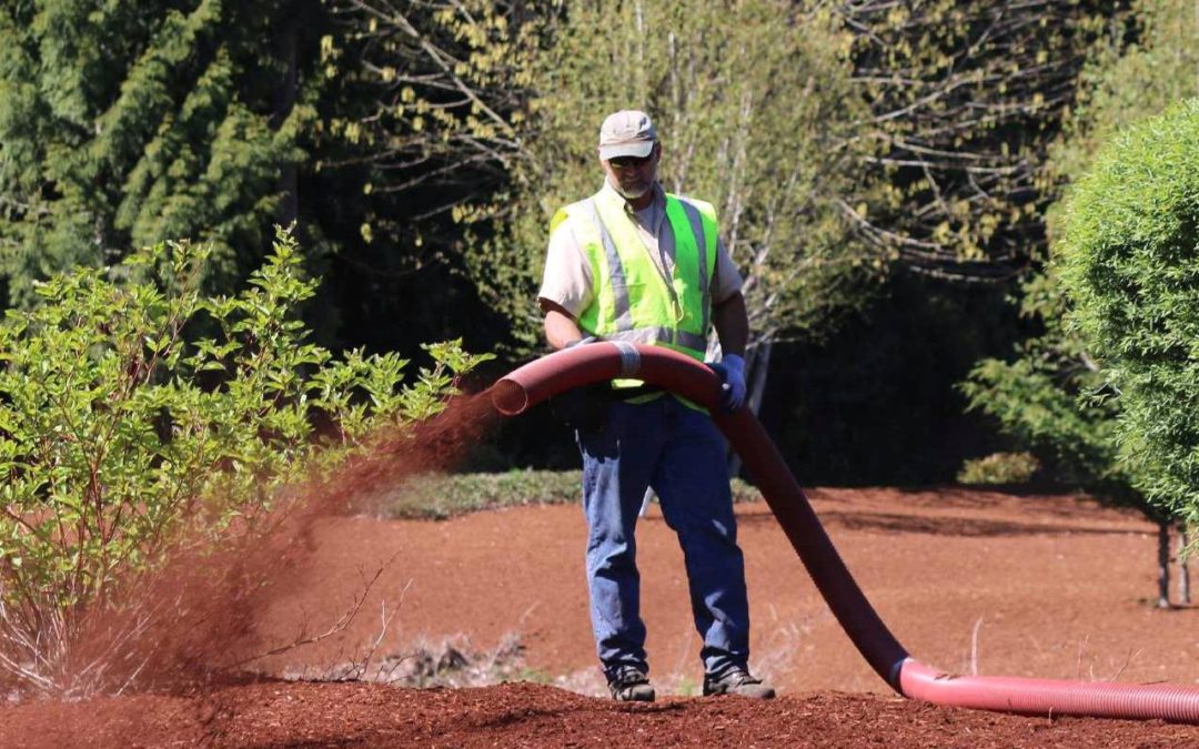 What is a Blower Truck? Understanding Bark Blowing